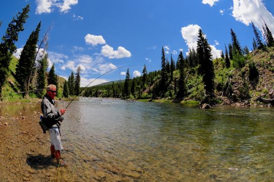 Fishing in Yellowstone National Park